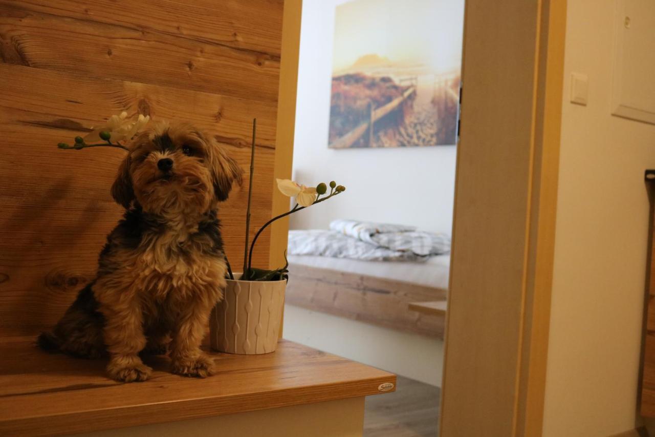 Zirben Diamant Rooms & Dogs Obdach Eksteriør bilde